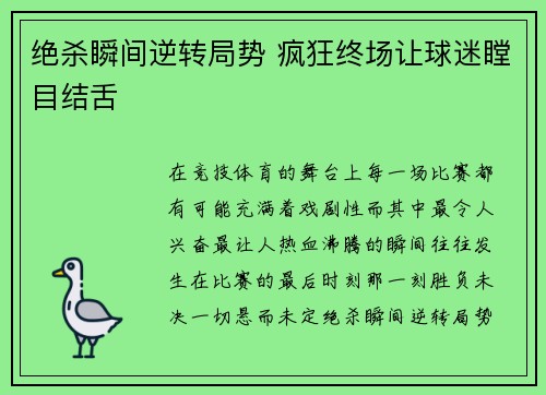 绝杀瞬间逆转局势 疯狂终场让球迷瞠目结舌