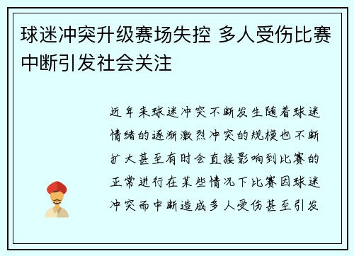 球迷冲突升级赛场失控 多人受伤比赛中断引发社会关注